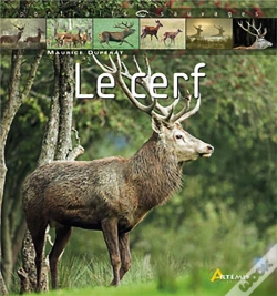 Capa do artigo Le Cerf