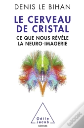 Le Cerveau De Cristal