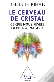 Capa do artigo Le Cerveau De Cristal