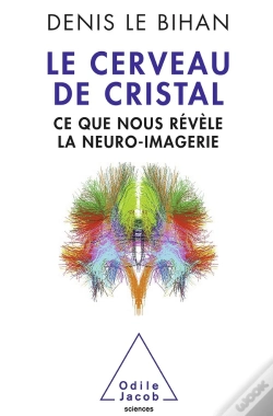 Capa do artigo Le Cerveau De Cristal