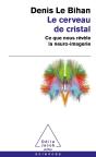 Le Cerveau De Cristal - Preview