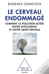 Le Cerveau Endommagé