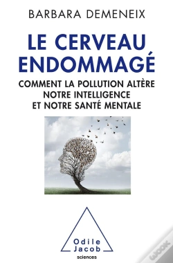 Capa do artigo Le Cerveau Endommagé