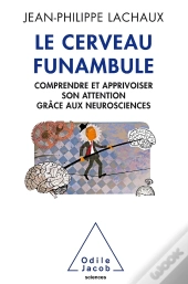 Le Cerveau Funambule