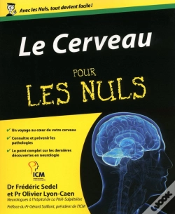 Capa do artigo Le Cerveau Pour Les Nuls