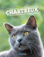 Le Chartreux - Preview