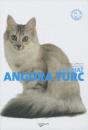 Le Chat Angora Turc - Preview