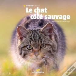 Capa do artigo Le Chat Côté Sauvage