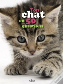 Capa do artigo Le Chat