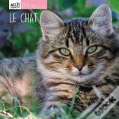Le Chat