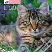 Capa do artigo Le Chat