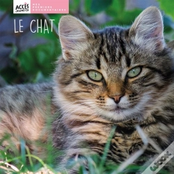 Capa do artigo Le Chat