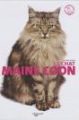 Le Chat Maine Coon - Preview