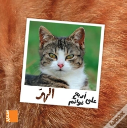 Capa do artigo Le Chat