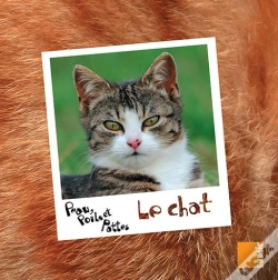 Capa do artigo Le Chat
