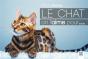 Le Chat On L'Aime Pour... - Preview