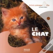 Capa do artigo Le Chat