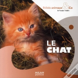 Capa do artigo Le Chat