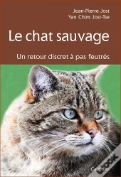 Le Chat Sauvage, Un Retour Discret À Pas Feutrés