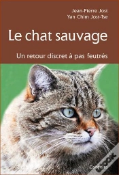 Capa do artigo Le Chat Sauvage, Un Retour Discret À Pas Feutrés