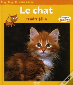 Capa do artigo Le Chat, Tendre Félin