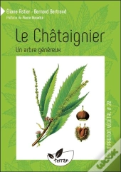 Le Châtaignier ; Un Arbre Généreux
