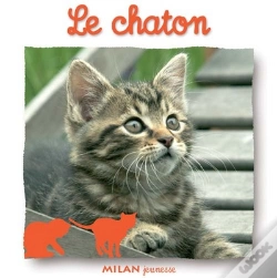 Capa do artigo Le Chaton