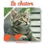 Le Chaton - Preview