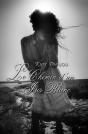 Le Chemin D'Un Iris Blanc - Preview
