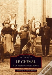 Le Cheval À La Ferme Ou Sur La Route