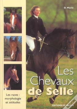 Capa do artigo Le Cheval De Selle