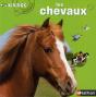 Le Cheval - Preview