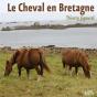 Le Cheval En Bretagne - Preview