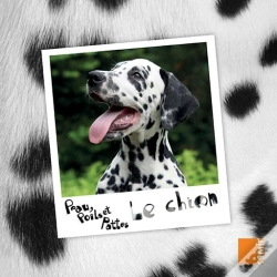 Capa do artigo Le Chien