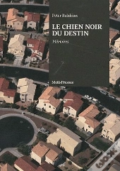 Le Chien Noir Du Destin
