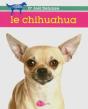 Le Chihuahua - Preview