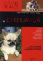 Le Chihuahua - Preview