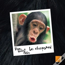 Capa do artigo Le Chimpanze