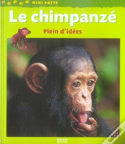 Capa do artigo Le Chimpanzé, Plein D'Idées