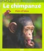 Le Chimpanzé, Plein D'Idées - Preview