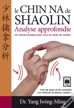 Capa do artigo Le Chin Na De Shaolin - Analyse Approfondie