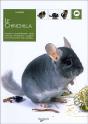 Le Chinchilla - Preview