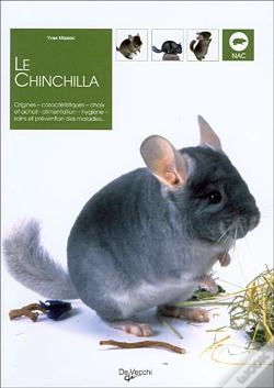 Capa do artigo Le Chinchilla