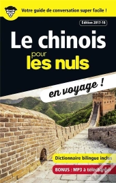 Le Chinois Pour Les Nuls En Voyage Ne