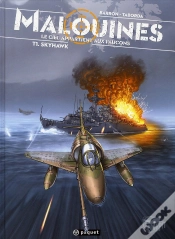 Capa do artigo Le Ciel Est Pour Les Faucons T.4 ; Skyhawk