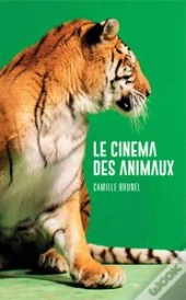 Le Cinéma Des Animaux