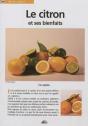 Le Citron Et Ses Bienfaits - Preview
