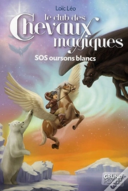 Capa do artigo Le Club Des Chevaux Magiques T.2