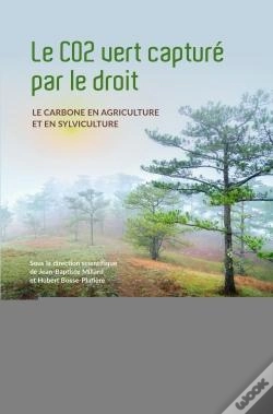 Capa do artigo Le Co2 Vert Capturé Par Le Droit