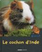 Le Cochon D'Inde - Preview
